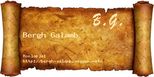 Bergh Galamb névjegykártya